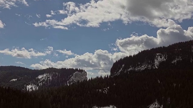 美丽的冬季景观和白雪覆盖的树木视频素材