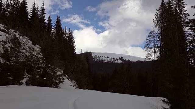 美丽的冬季景观和白雪覆盖的树木视频素材