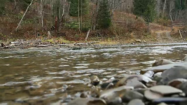 在森林中流淌的小而嘈杂的山区河流。观景山溪与步行桥。风景优美，有溪水淙淙视频素材