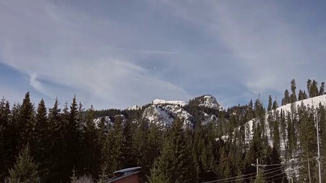 美丽的冬季景观和白雪覆盖的树木视频素材