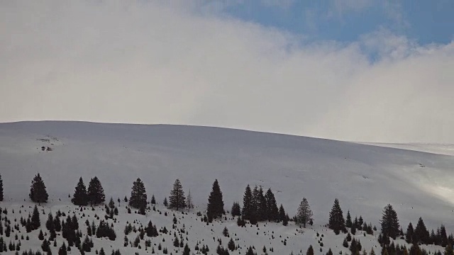 美丽的冬季景观和白雪覆盖的树木视频素材