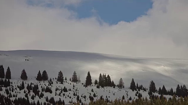 美丽的冬季景观和白雪覆盖的树木视频素材