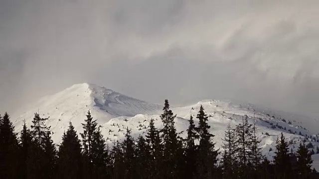 美丽的冬季景观和白雪覆盖的树木视频素材