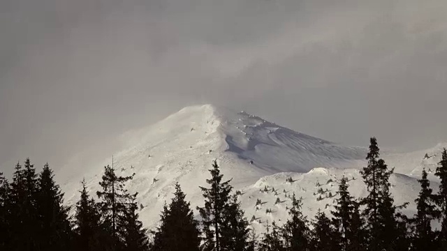 美丽的冬季景观和白雪覆盖的树木视频素材