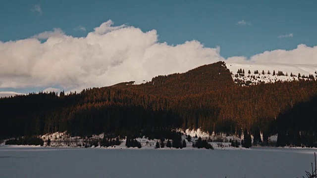 美丽的冬季景观和白雪覆盖的树木视频素材