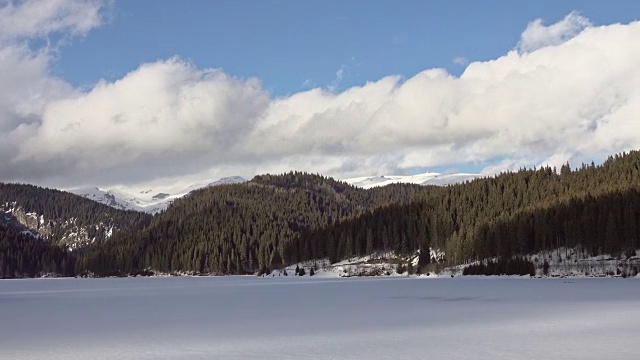 美丽的冬季景观和白雪覆盖的树木视频素材