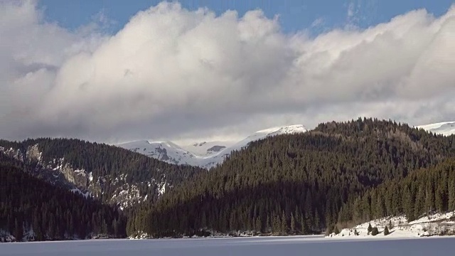 美丽的冬季景观和白雪覆盖的树木视频素材