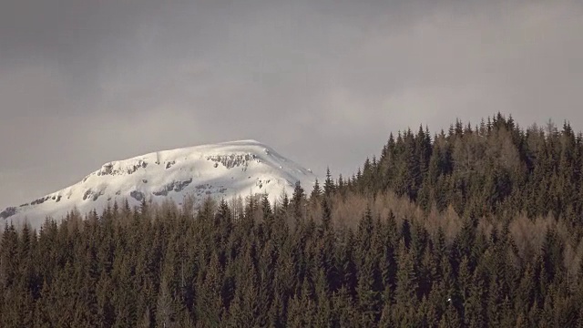 美丽的冬季景观和白雪覆盖的树木视频素材