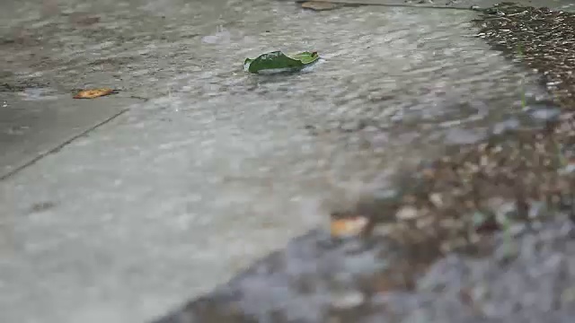 雨水溢出天井视频素材