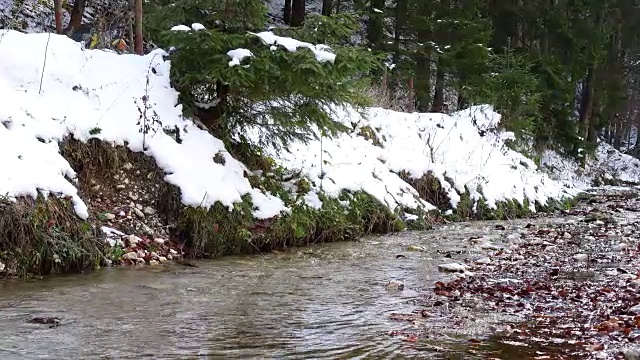 春天小溪在森林中流淌着融化的雪视频素材