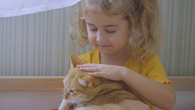 可爱的小女孩抱着她的猫坐在床上。一个小孩在抚摸一只红猫。视频素材