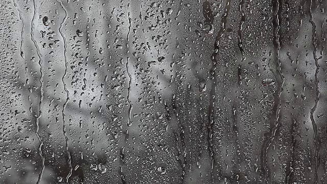 雨点春景视频素材