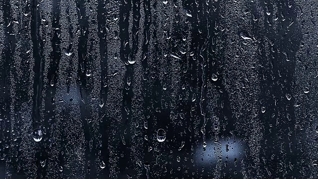 雨点春景视频素材