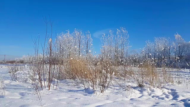 严冬的俄罗斯雪景，霜冻的日子视频素材