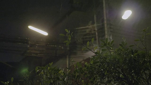 夜间热带暴雨视频素材