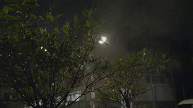 夜间热带暴雨视频素材