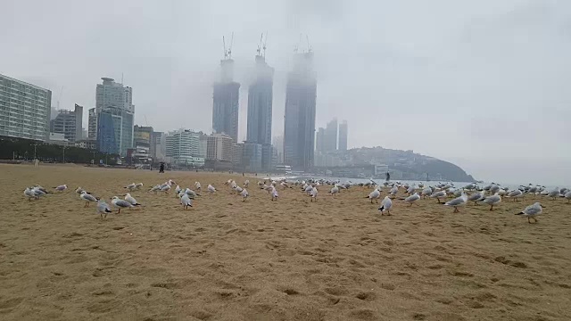 多雨多云冬季海云台海滩视频素材