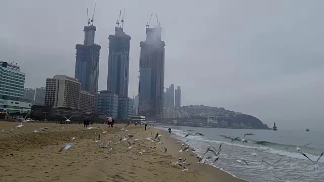 多雨多云冬季海云台海滩视频素材