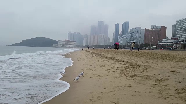 多雨多云冬季海云台海滩视频素材