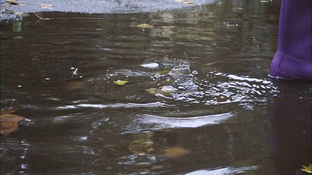 水坑边的雨靴视频素材