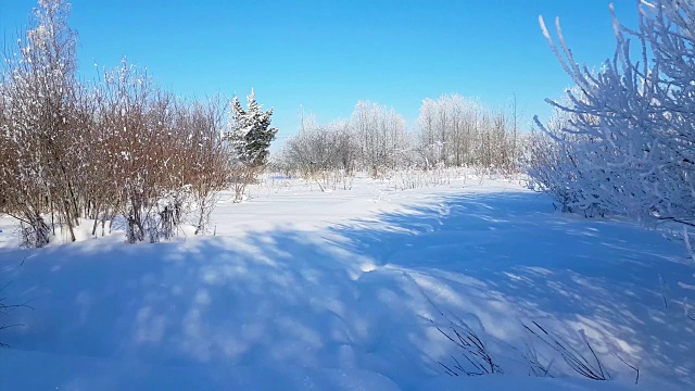 严冬的俄罗斯雪景，霜冻的日子视频素材