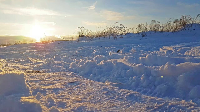 严冬的俄罗斯雪景，夕阳视频素材