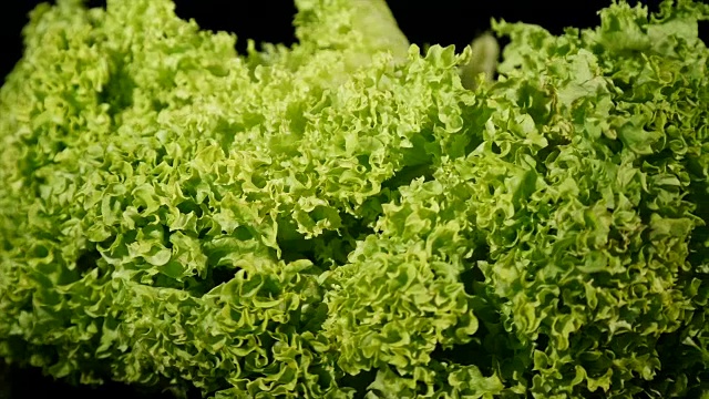 新鲜生菜沙拉叶合上，轮流，黑色背景视频素材