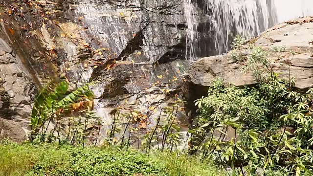 树叶在阳光下飞舞，有瀑布的水花视频素材