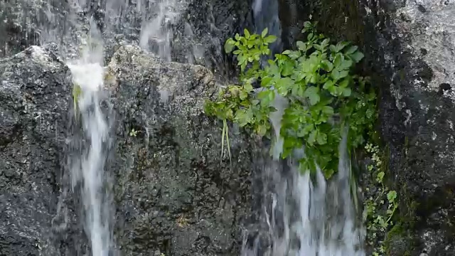 天然水在山中流动，在山泉中下落视频素材