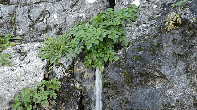 自然的水从山上流下来视频素材