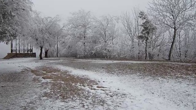 超现实主义的空地。天气多风，树上结满了白霜视频素材