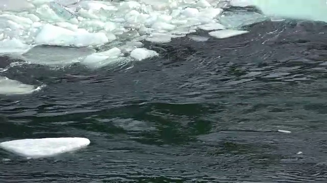 冬季阿尔泰山卡顿河浮冰和淤泥视频素材