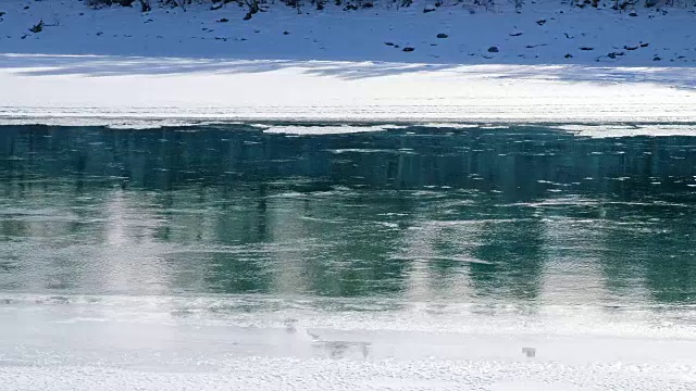 冬季阿尔泰山卡顿河浮冰和淤泥视频素材