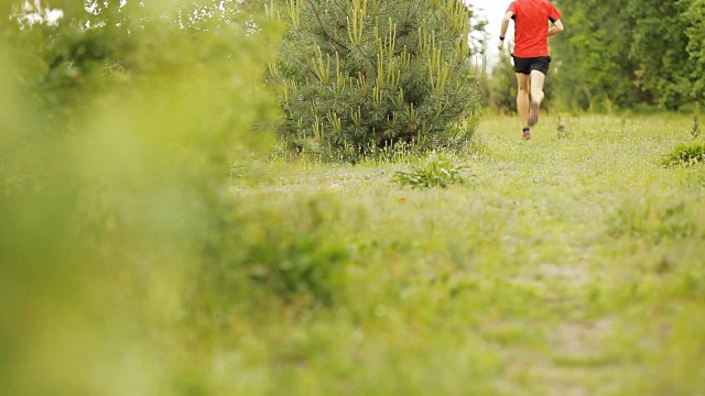 在夏天的森林里，人们跑步穿越田野视频素材