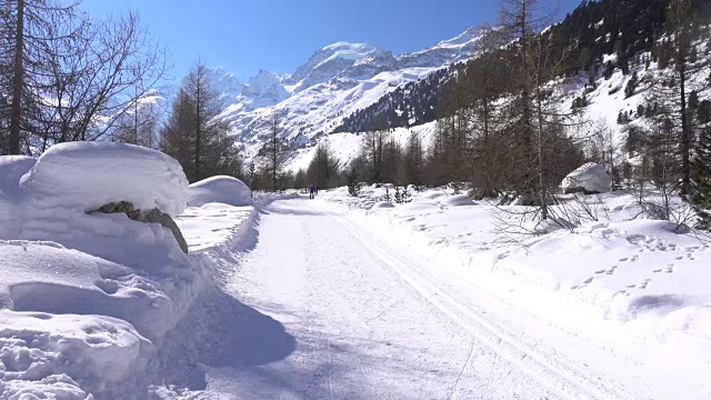 越野滑雪在雪山在冬天视频素材