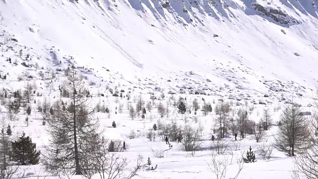 越野滑雪在雪山在冬天视频素材