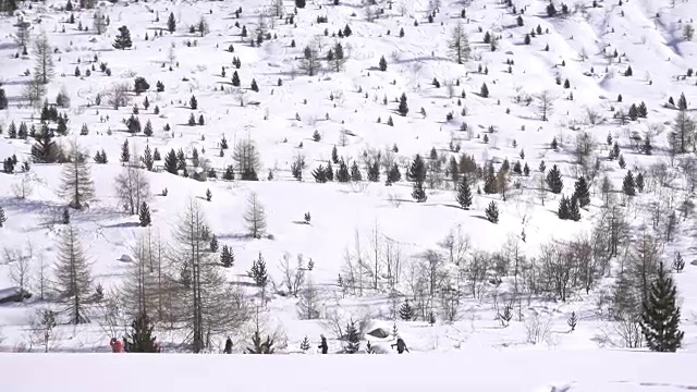 越野滑雪在雪山在冬天视频素材