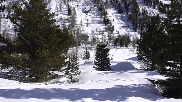 越野滑雪在雪山在冬天视频素材