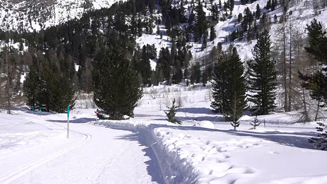 越野滑雪在雪山在冬天视频素材