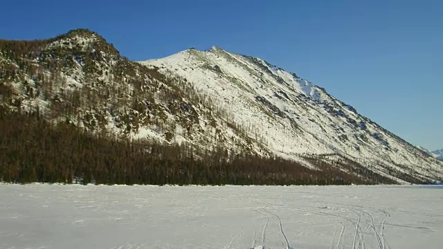 冬季阿尔泰山脉和木尔塔地区松林的视频全景视频素材