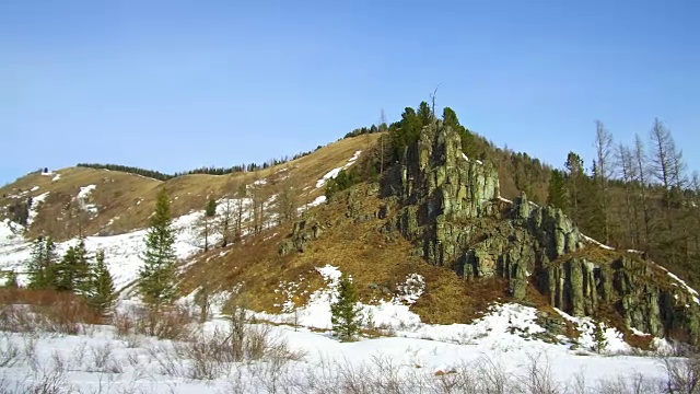 冬季阿尔泰山脉和木尔塔地区冷杉森林的视频全景图视频素材