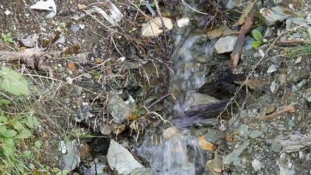 森林中河流的特写，流水的细节。纯净的山溪，清澈的水，流过一片绿色的区域视频素材