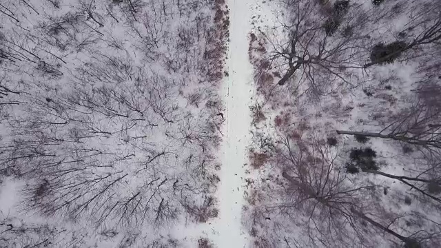 飞行在白色冬季森林道路，俯视图冬季无人机空中视频素材