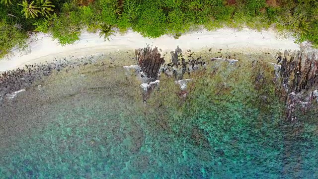 美丽的鸟瞰图海滩和大海与椰子树天堂岛视频素材