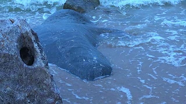 慢动作:海浪卷起白色沙滩的特写镜头视频素材