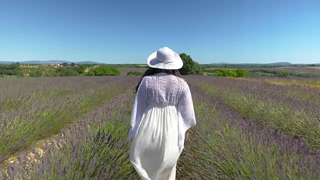 年轻美丽的女人走在薰衣草盛开的田野里视频素材