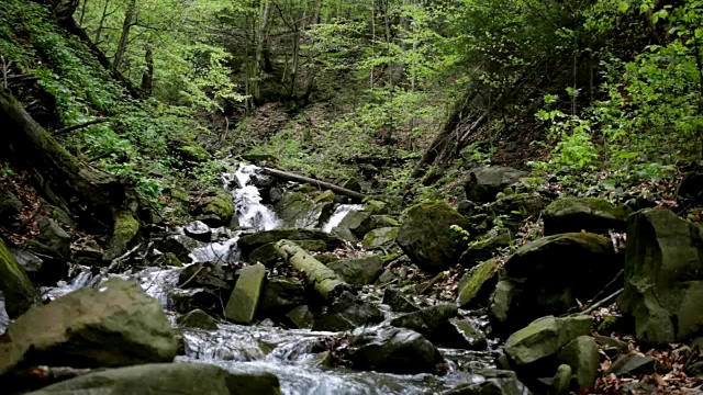 山河在绿色森林的石头之间流动。山瀑布视频素材