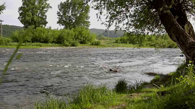 河流景观。河水流动。夏天自然背景视频素材