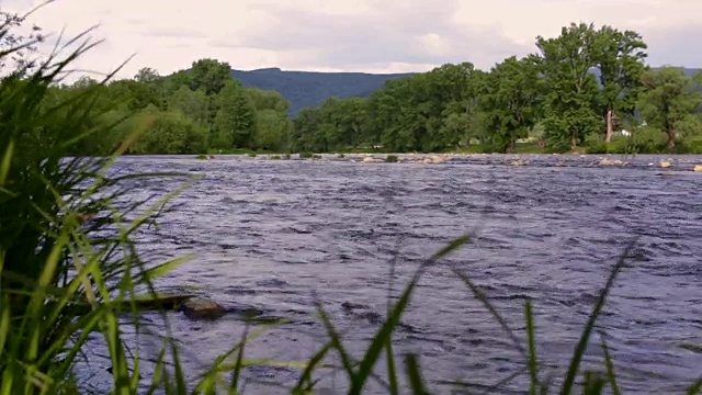 河水溪流景观。山河在绿树旁流淌视频素材