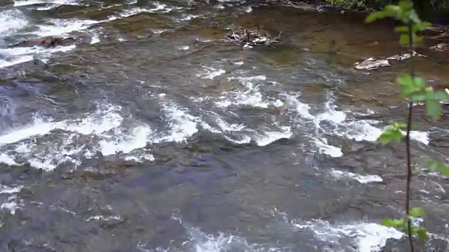 山急河急。有石滩的浅山河视频素材